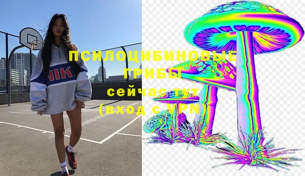 2c-b Верея