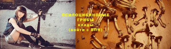 скорость Верхний Тагил
