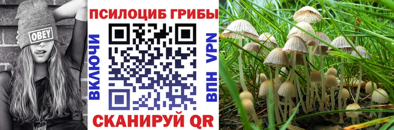MEGA ONION  Йошкар-Ола  Псилоцибиновые грибы мицелий 